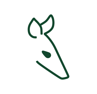 Karu, o mascote Mandakaru